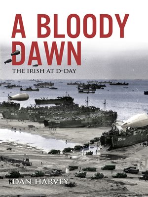 cover image of A Bloody Dawn
